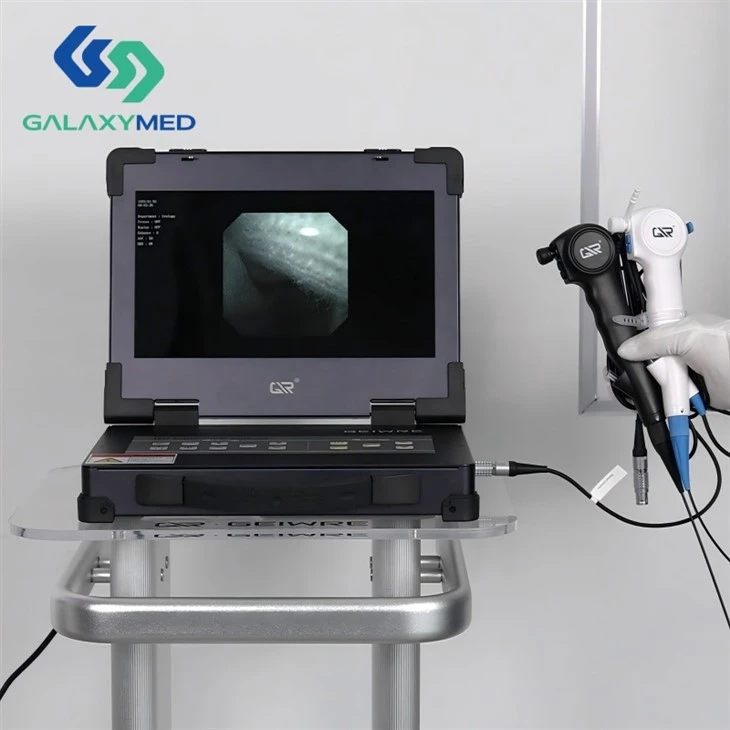 Flexible Endoscope